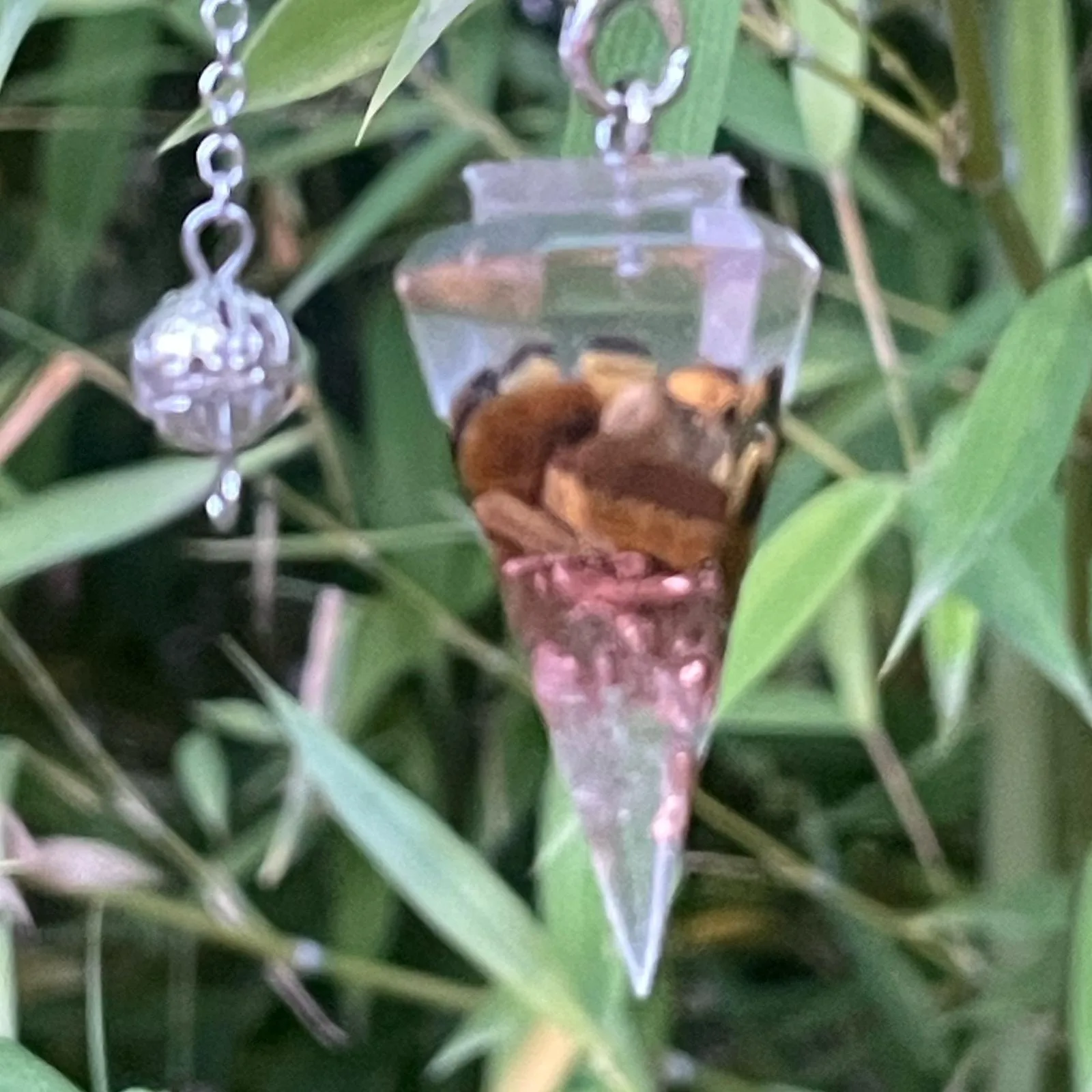 pendule orgonite Oeil de Tigre