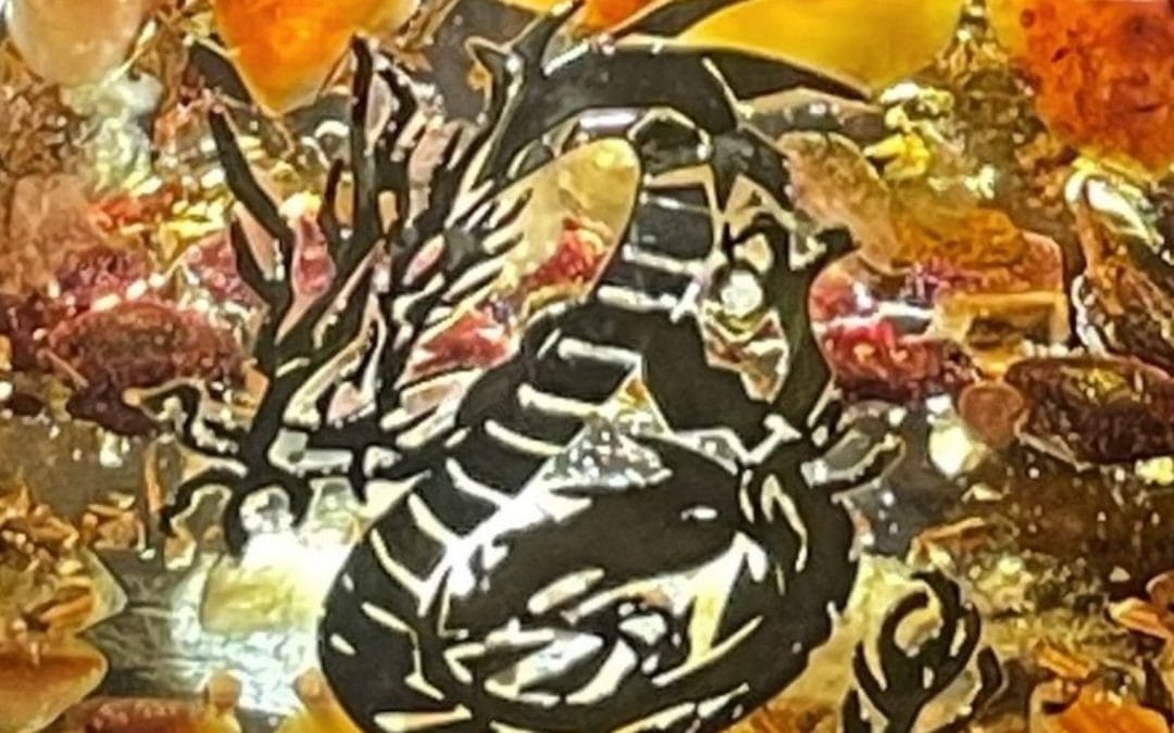 Le Dragon, magie mystique et symbole de puissance